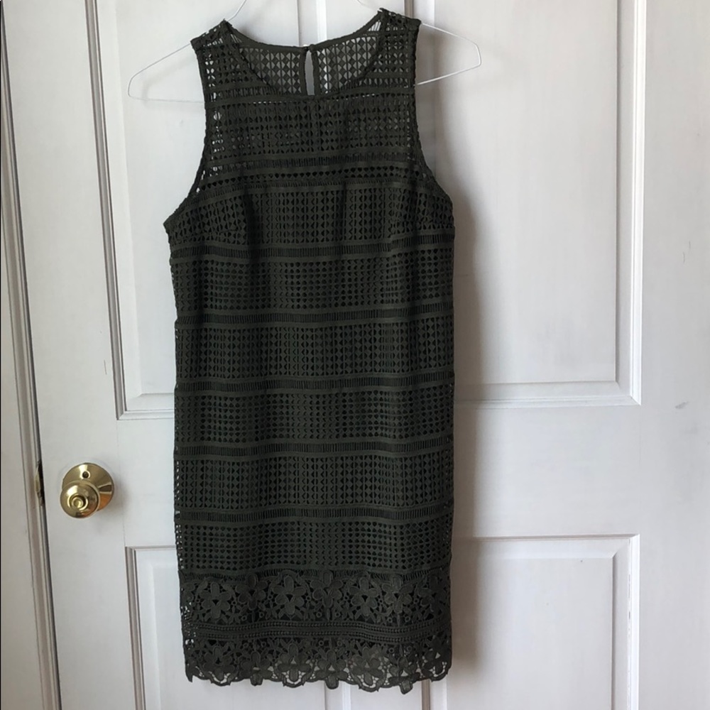 Abercrombie Shift Dress NWOT
